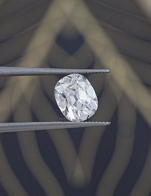 Elongated Old Mine Cushion Lab Diamond